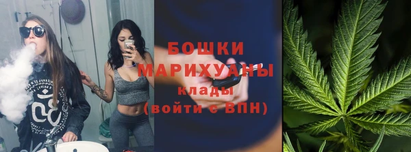 крисы Сосновка